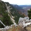 Lessy 20101030_05